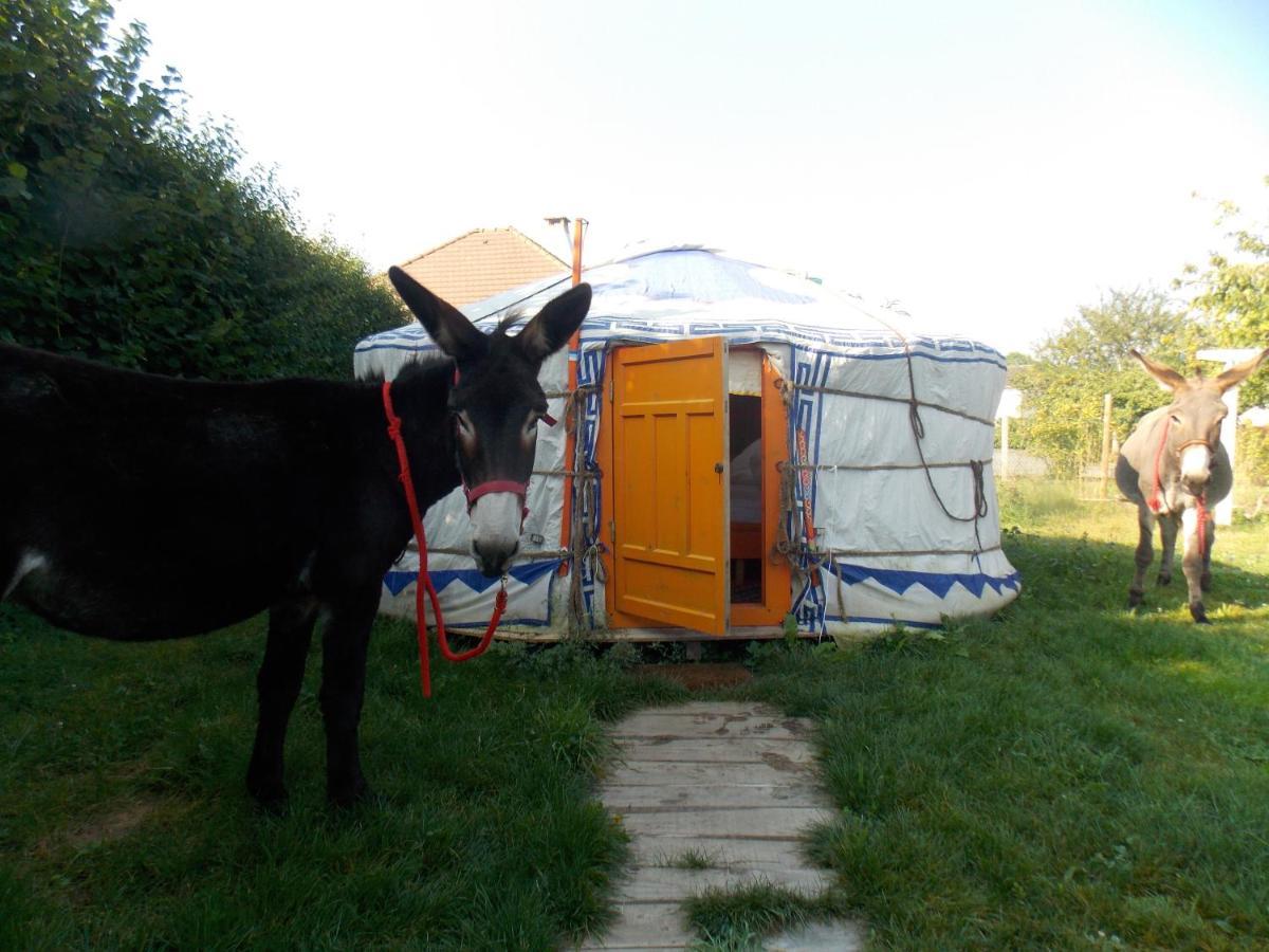 Yourte Mongole Huriel Kültér fotó